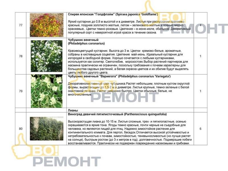 Проект благоустройства территории-102